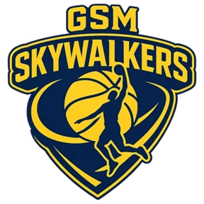 GSM